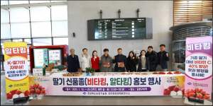 경상북도농업기술원, KTX역서 만나는 '경북딸기 신품종' 눈길