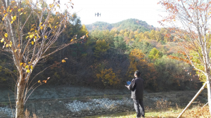 영주시, 소나무재선충병 방제로 산림자원 보호
