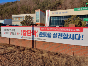 영양군농업기술센터, 칼라병·탄저병과 전쟁 선포