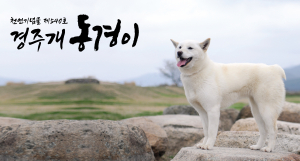 경주시 특색 담은 새 상징물 선정 '심사숙고'