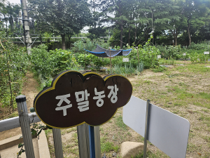 대구공공시설관리공단 북부사업소, 대구시민이라면 누구나 주말 농장이 '공짜'