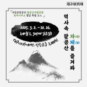 단돈 1000원에 즐기는 '대구광역시 팔공산 문화유적'