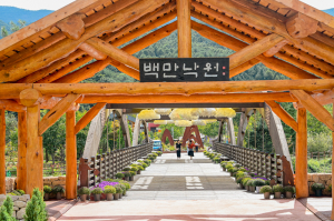 삼일절 연휴기간 '국립백두대간수목원' 무료 개방