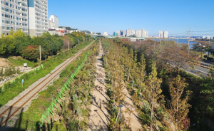 포항시, 지속가능한 도시생태계 조성을 위한 기후 대응 도시숲 확대