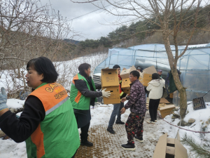 봉화군 지역자율방재단, 폭설 피해 복구'구슬땀'