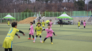 축구 꿈나무 등용문 '영덕군 풋볼페스타 스프링리그' 대성황
