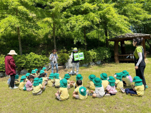 봉화군, 유아숲 교육 프로그램에 참여할 유치원 및 어린이집 모집