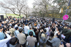 경주시, 전국 최고 벚꽃성지 경주서 봄의 절정 '만끽'