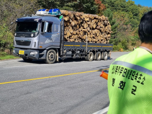 봉화군, 소나무재선충병 확산 저지 '총력'… 무단 이동 특별단속