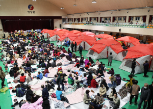 영양군, 산불 피해자 상담 한번에… 행정적 불편 '최소화'