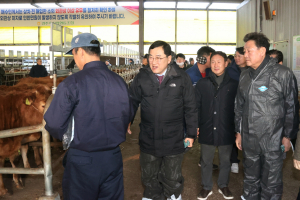경주시 '사룟값 급등·한우 가격 하락' 위기의 농가 살리기 총력