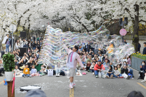 2025 경주 대릉원돌담길 축제, 운영·흥행·만족도 '최고'