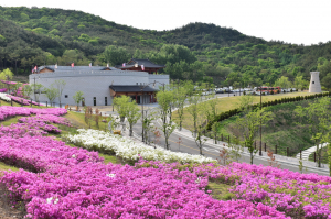 경주시, 화랑정신 담은 스마트 콘텐츠 사업 추진