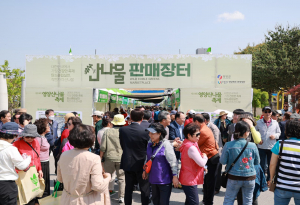 경상북도, 치유관광으로 도내 경제 숨통 튼다