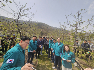 이상기후로 인한 과수農 피해 '선제 예방'… 포항시의회 경제산업위원회, 현장 점검