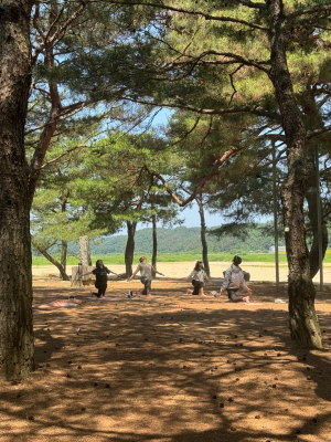 예천군 생텀마을 