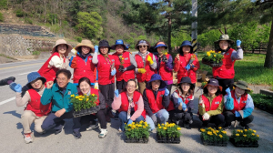 봉화군 춘양의 작은 정원, 봄을 맞아 향기로 물들다
