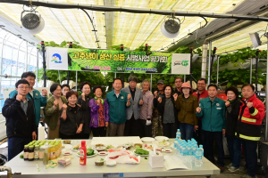 봉화군, 고추냉이로 농업 경쟁력 강화