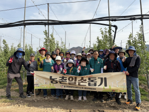 안동시 중구동 영농봉사단, 사과 적과작업 '팔 걷어'
