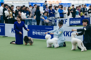 대구광역시, 반려동물 트렌드 한자리에 '대구펫쇼' 팡파르