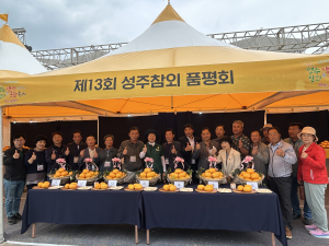 품질 좋고 맛 좋은 '명품 성주참외' 왕중왕은?