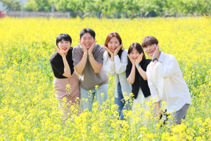 '유채꽃 만개한' 청도군 풍각면, 힐링 명소 입소문