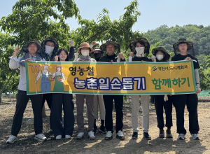 영천시 도시계획과, 복숭아 적과 작업 '팔 걷어'