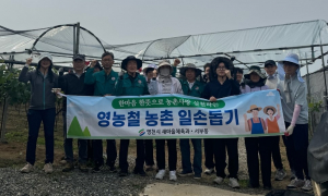 영천시 서부동, 포도農 일손돕기 '훈훈'