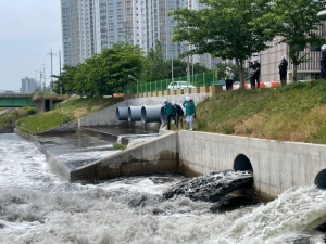 포항시시설관리공단, 하절기 집중호우 '철저 대비'