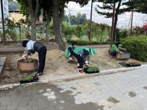 영주시 하망동, 여름꽃 피튜니아로 물든 원당로 수목원