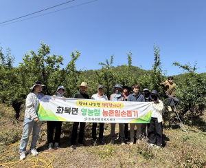 영천시 화북면, 자두재배 농가 일손 돕기