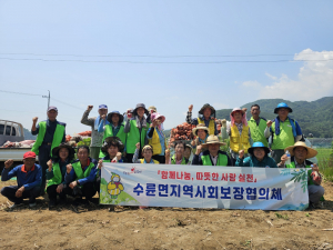 성주군 수륜면 지역사회보장협의체, 양파 수확 '구슬땀'