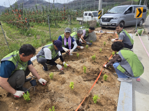 영양군 Hot나눔봉사단, 환경 개선 '힘'