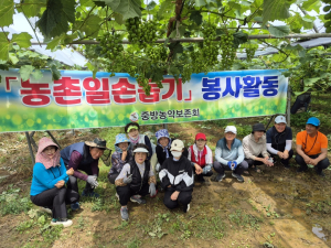 경산시 중방농악보존회, 농가 일손 걱정 '훌훌'