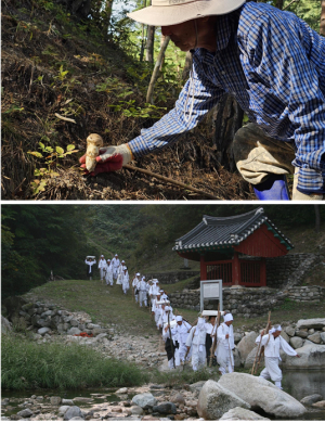 울진 금강송 산지농업시스템’, 세계중요농업유산 등재