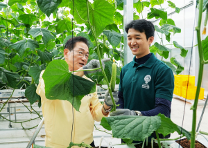 엉천시, 청년이 키운 '영천 오이' 값진 결실 맺어