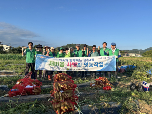 문경시 점촌4동 새마을회, 온정 빼곡한 옥수수 수확