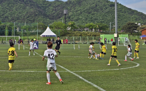 경주시, 2025 화랑대기 전국 유소년 축구대회 내달 5일 '팡파르'