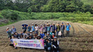 성주군 벽진면 지역사회보장협의체, 희망텃밭 가꾸기 '구슬땀'