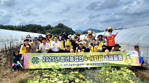성주군4-H연합회, 사랑의 호박 수확