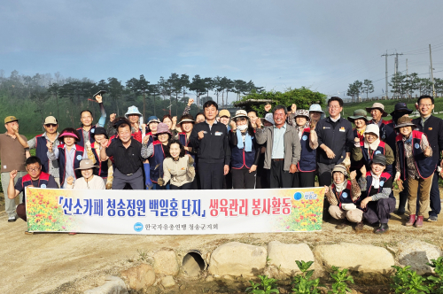 한국자유총연맹 청송군지회, 백일홍 생육관리 구슬땀