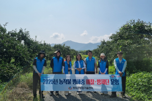 농작물 병해충 비상… 청도군, 신속 방제 '최선'